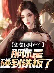 想卷我财产？那你是碰到铁板了（舒楹）全本书籍阅读想卷我财产？那你是碰到铁板了完整版小说