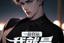 一品官运：我就是无冕之王推荐完结小说一品官运：我就是无冕之王(陈飞宇)免费小说全本-蔬菜文学