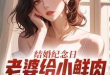 叶一帆结婚纪念日，老婆给小鲜肉打榜应援全本免费在线阅读-蔬菜文学