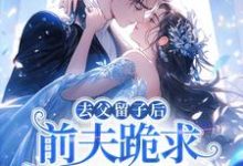 (全文)去父留子后，前夫跪求伺候我月子！（林亦棠）免费小说去父留子后，前夫跪求伺候我月子！试读更新章节-蔬菜文学