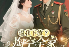逼我下放？掏空全家挺孕肚随军去（桑榆晚）全章小说阅读-蔬菜文学