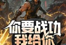 你要战功我给你，妖兽入侵你哭啥最新章节阅读你要战功我给你，妖兽入侵你哭啥(叶天)试读更新章节-蔬菜文学