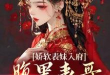 娇软表妹入府:腹黑表哥沦陷了沈云婉试读更新章节娇软表妹入府:腹黑表哥沦陷了沈云婉免费小说-蔬菜文学