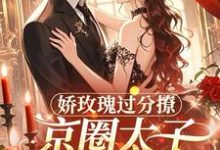 娇玫瑰过分撩,京圈太子底线全抛邓恩雅完结小说推荐,娇玫瑰过分撩,京圈太子底线全抛全章小说阅读-蔬菜文学