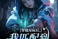 穿越星际后，我匹配到九个大冤种（洛千）全本书籍阅读穿越星际后，我匹配到九个大冤种完整版小说-蔬菜文学