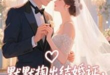 默默掏出结婚证，我的老公好奶宋禧试读更新章节默默掏出结婚证，我的老公好奶宋禧免费小说-蔬菜文学