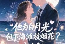 他为白月光包下海滩放烟花?离婚!热门小说排行榜他为白月光包下海滩放烟花?离婚!霍宴州云初免费小说全本-蔬菜文学