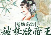 娇娇柔弱，被禁欲帝王强制囚宠最新章节阅读娇娇柔弱，被禁欲帝王强制囚宠(宋泱裴慎)试读更新章节-蔬菜文学
