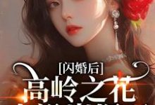 (全文)闪婚后,高岭之花人设崩塌了(苏酥)全本书籍阅读闪婚后,高岭之花人设崩塌了免费小说全本-蔬菜文学