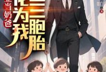 顾琛毕业当奶爸：校花为我生了三胞胎全本免费在线阅读-蔬菜文学