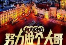身为卧底，努力做个大哥不过分吧（白舟）小说推荐身为卧底，努力做个大哥不过分吧全章小说阅读-蔬菜文学