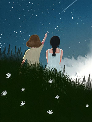 在线免费阅读傻女拒嫁，七殿下怒踢花轿完整小说