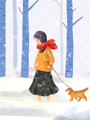 小说《西风暮雪埋初心》章节免费阅读