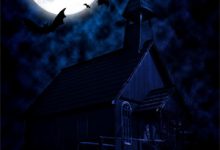 空白之夜小说的免费电子版在哪里可以下载或阅读？-蔬菜文学