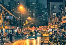 靳砚修沈瓷小说等不到白发苍苍在线阅读-蔬菜文学