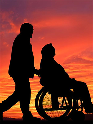 小说《当雪落我已白头》章节免费阅读