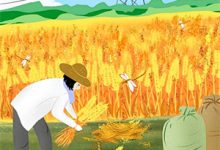 许森唐宁小说在线章节免费阅读(绿茶实习生网暴我,我把手术刀递给他:你行你上无弹窗无删减)-蔬菜文学